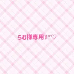らむ様専用♡꒦꒷