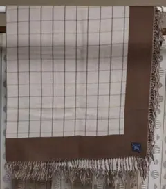 Item thumbnail for item ebc001e7-d1c1-4378-87f6-0cfce38db472