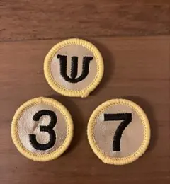 Item thumbnail for item c330c3b0-a0b0-4c4c-8354-919b929e091b