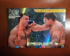 PRIDEカード 2005エメリヤエンコ・アレキサンダー VS パウエル・ナツラ