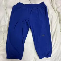 THE NORTH FACE Mサイズ 青パンツ