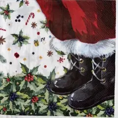 ꕤ︎︎·͜· ︎︎Xmas新作94・3枚セット現品限り