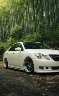 SSR Professor MS3 20インチのサムネイル