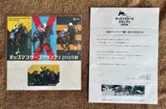 限定300体 EDWINコラボ オリジナルデザインデニムホース ドウデュース