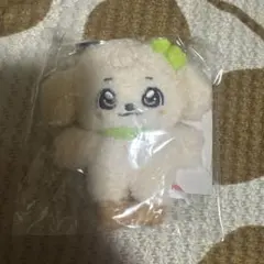 IVE minive minini ぬいぐるみ ユジン カンアンジ - メルカリ
