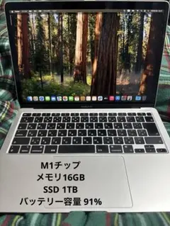 【動作良好】美品 MacBook Air M1チップ 1TB 16GB 付属品有 Apple MacBook Air M1 2020 13インチ 整備済み品