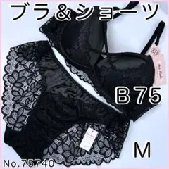 ブラジャーショーツセットＢ75 No.75740