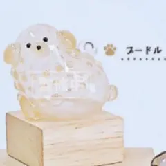 けだまだま　プードル