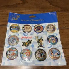 ディズニーシー10周年のBeMagical! カンバッジセット・ピンバッジ付き
