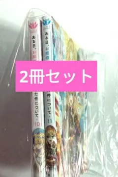 2冊セット 10巻 11巻 ある日、お姫様になってしまった件について