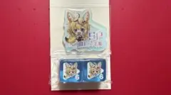 ホロカ エクストリーマーカップ サイコロ 尾丸ポルカ