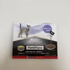 2025年最新】フォーティフローラの人気アイテム - メルカリ