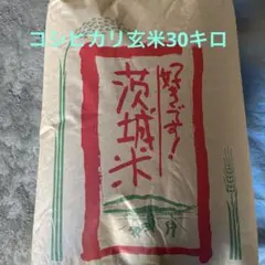 2026年最新】茨城 コシヒカリ 30kgの人気アイテム - メルカリ