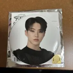 SEVENTEEN FOLLOW 缶バッジ　ホシ