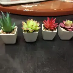 【最終価格・美品・４個セット・匿名配送】 人工の多肉植物