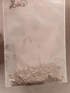 MOFU MOFU GARDEN様 リクエスト 2点 まとめ商品