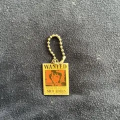 ワンピース　ウォンテッドプレート　メタルチャーム　手配書　ニコロビン　子供