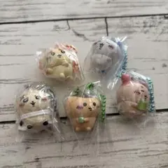 ちいかわ　マスコットつきビスケット　ハチワレ　古本屋　シーサー　5個セット