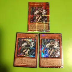 遊戯王OCG　混沌なる魅惑の女王　プリシク　プリズマ　他