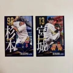 Item thumbnail for item 45456dec-5ad6-4a6f-ba6b-e050cf660181