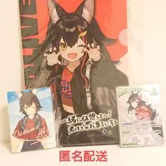 2026年最新】ホロライブチョコ3 バインダーの人気アイテム - メルカリ