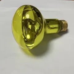 Item thumbnail for item a9a5b888-7448-4887-a5fa-2f38fb54e08c