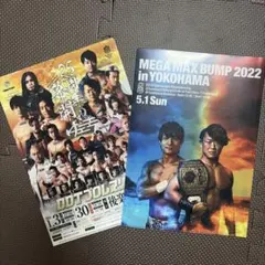 DDTプロレス クリアファイル 2枚セット