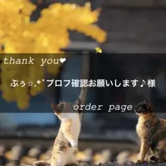 ぷぅ✩.*˚プロフ確認お願いします♪︎様専用ページ