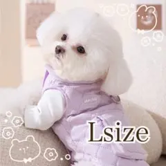 Item thumbnail for item 30ce9e18-5721-4348-b318-4a186a8b876b