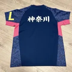 バドミントンヨネックスユニフォーム日本代表Lサイズ神奈川国体
