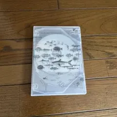 2025年最新】サカナクション 魚図鑑 完全生産限定盤 プレミアム