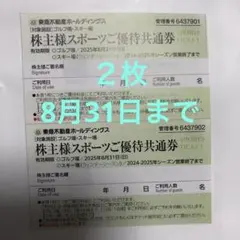 東急不動産優待券　スポーツスキー券2枚(4名利用可能)