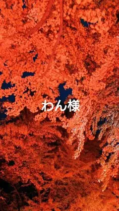 PUMA ホワイト タンクトップ S