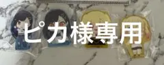 ピカ様専用ページ