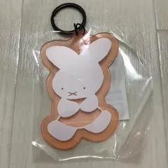 Item thumbnail for item c685d4e6-7f83-4ae9-a2ae-4aba6884b79c