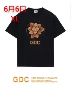 GDC LOTUS tee フェード XL ロータス Tシャツ - メルカリ