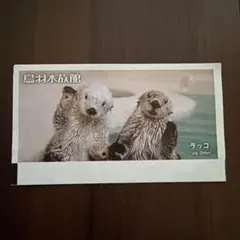 鳥羽水族館 クリアファイル ラッコ とばすい トバ水 - メルカリ