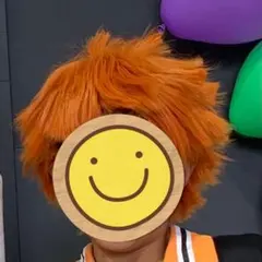 ハイキュー　かつら　日向翔陽　ハロウィン　コスプレ