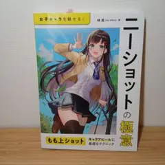 ニーショットの極意 : 女子キャラを魅せる!