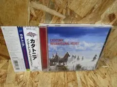 インターナショナル・ヴェルヴェット カタトニア
