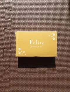 Item thumbnail for item 2213876f-a3e7-4fd2-a8f4-8d99f62edfcb