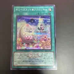ヤミーズメント★アクロッキー　ロゴ入り　シークレット