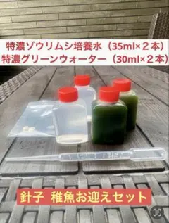 メダカ　針子スターターセットのサムネイル