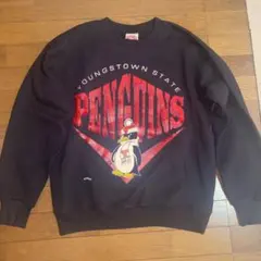 NUTMEG MILLS スウェット90s Youngstown Stateのサムネイル