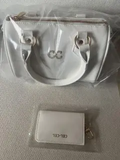 CELCEL SYMBOL “C” 2WAY BAG SMALL WHITE - メルカリ