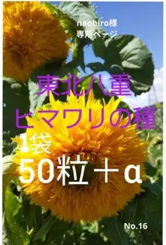 naohiro kawasaki様 リクエスト 2点 まとめ商品