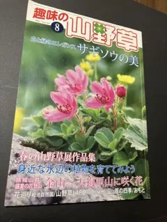 Item thumbnail for item 19b4e5be-19e4-4a53-af99-c6c8aa197ba4