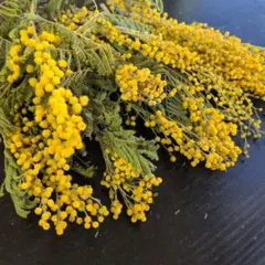 まろん様専用♪