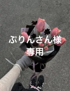 ぷりんさん様専用