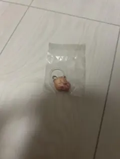 こびとづかん めじるしフレンズ2 シークレット　カクレモモジリ